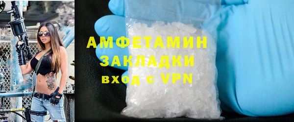 шишки Шадринск