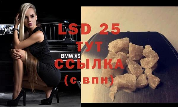 шишки Шадринск