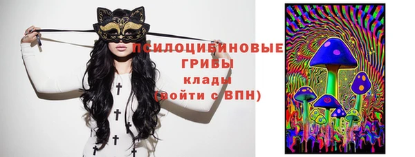 винт Гвардейск