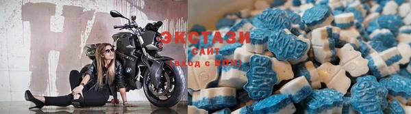 прущие крисы Шарыпово
