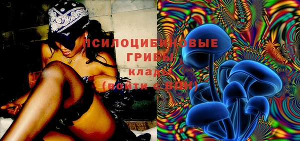 прущие крисы Шарыпово