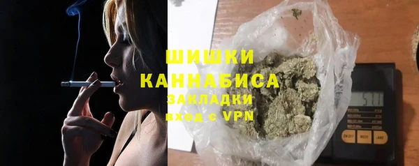 шишки Шадринск