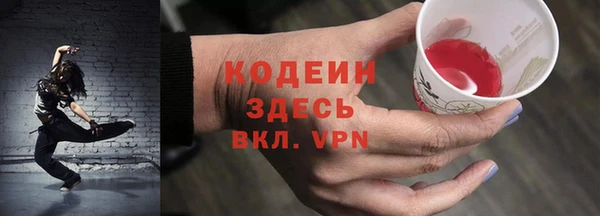 сатива Галич