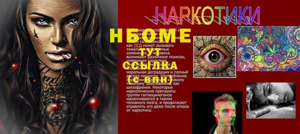 шишки Шадринск