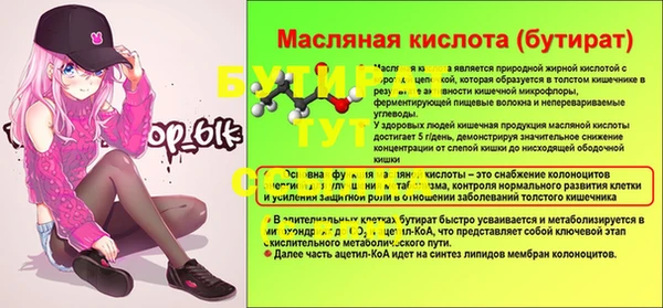 сатива Галич