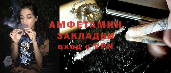 шишки Шадринск